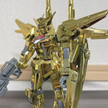 HG 1/144 시라누이 아카츠키 건담 완제품