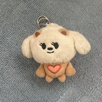 txt 보름규 바름깡