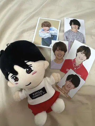 마에자와 세이야  치비누이