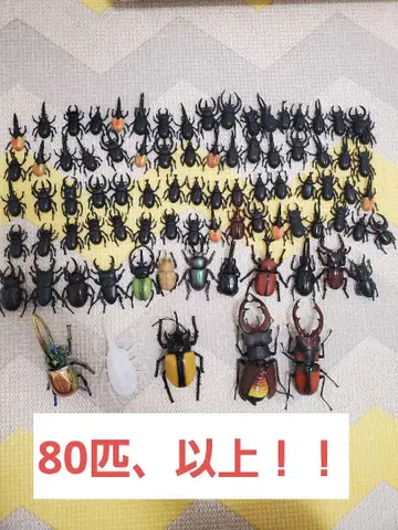 [개별 대응 불가] 리얼 곤충 피규어 키링 세트 80개 이상