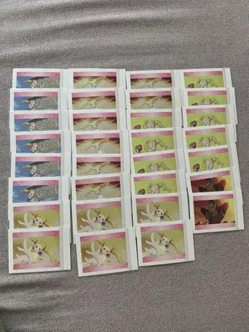 프리큐어 파샤코레 카스가 우라라