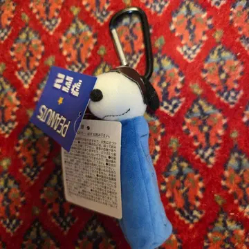 플라자 한정판 스누피 립 케이스