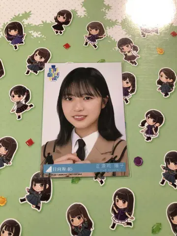 히나타자카46 쇼겐지 요코 브로마이드 도쿄돔