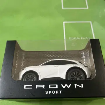 도요타 CROWN SPORT 풀백 카