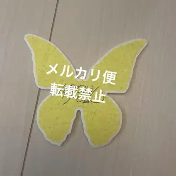 박은빈