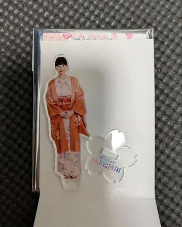 파도가 잔잔한, 메오토 비야 에바 나츠미 요네네 교코 아크릴 스탠드