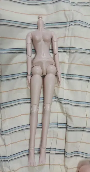 침대가 있는 커스텀 인형 본체 가동식