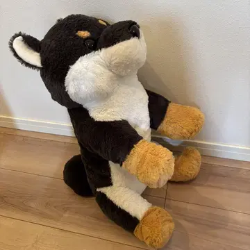쿠타리 시바견 봉제 인형 50cm