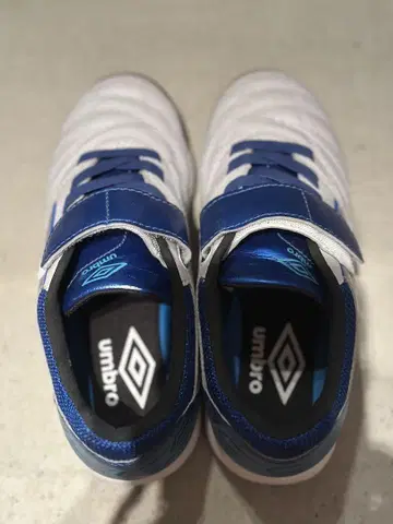Umbro 풋살화 19cm 화이트/블루