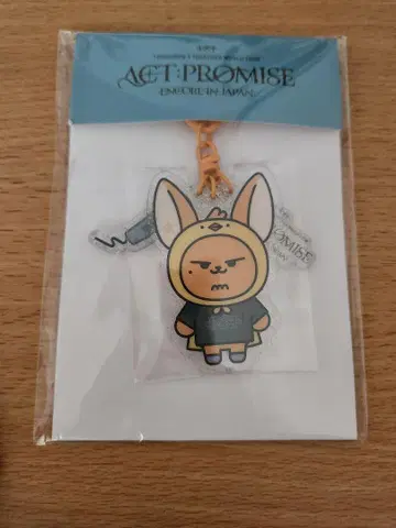 txt ACT PROMISE PAULBATU 키링