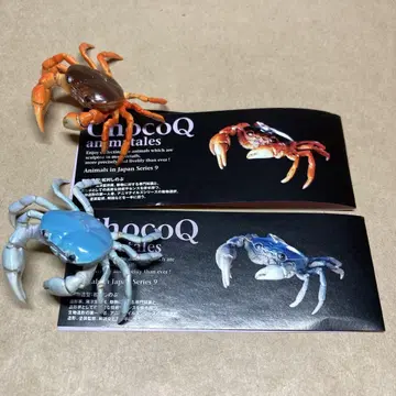 카이요도 초코 Q 애니마테일즈 사와가니 2개