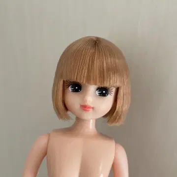 리카짱 캐슬 밥 리카짱