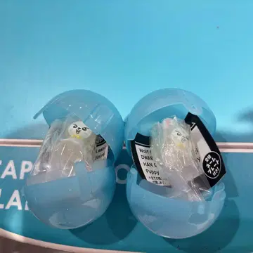 SKZOO 메지루시 액세서리 리비트 2세트