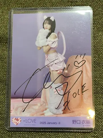 =LOVE 이코라브 노구치 이오리 브로마이드 고양이 의상 히키 자필