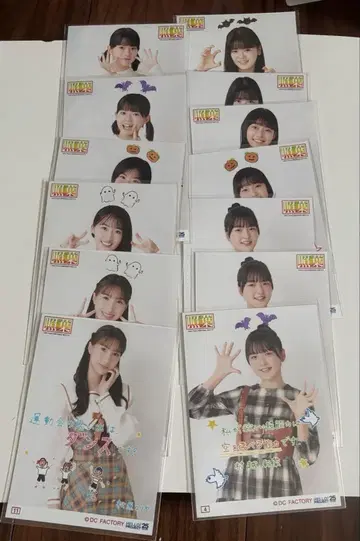 하로프로 연수생 콜레 사진
