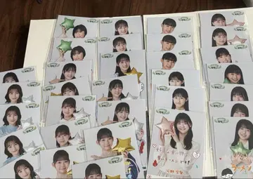 하로프로 연수생