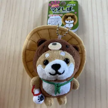 여행하는 콩 시가라키 야키 타누키 공 체인 마스코트