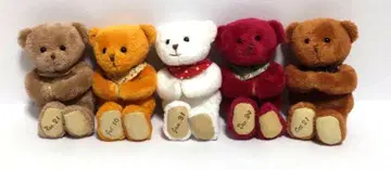 Petit Coup 벌스데이 베어 곰 봉제 인형 키체인