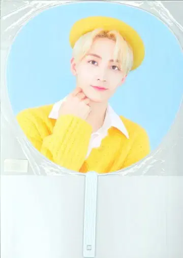 SEVENTEEN 2019 HANA JEONGHAN 부채