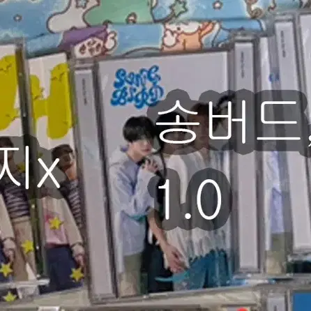 엔시티 위시 앨범 일본반 양도