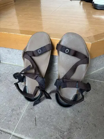 xero shoes 제로 슈즈 M8