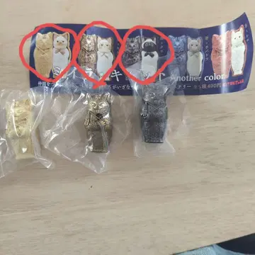 미라 캣