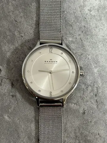 SKAGEN 아니타 실버 메쉬 아날로그 실버 스테인리스 스틸 손목 시계