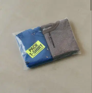 SHINZONE PACK TEE 팩 T 브라운