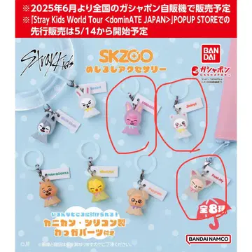 SKZOO 메지루시 액세서리
