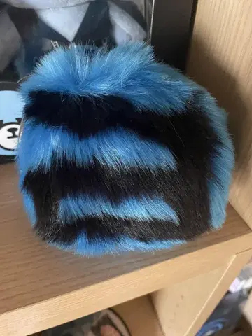 BIGBANG 선리 퍼 참