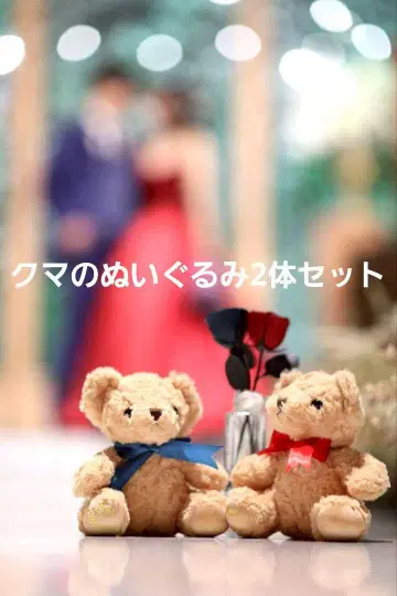 곰 봉제 인형 2개 세트