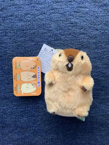 마모트의 모토토 아타로