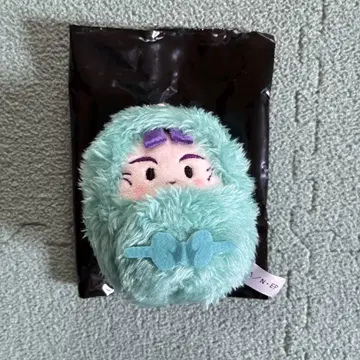 닌자 타마 란타로 싸개 타피누이 다치바나 센조