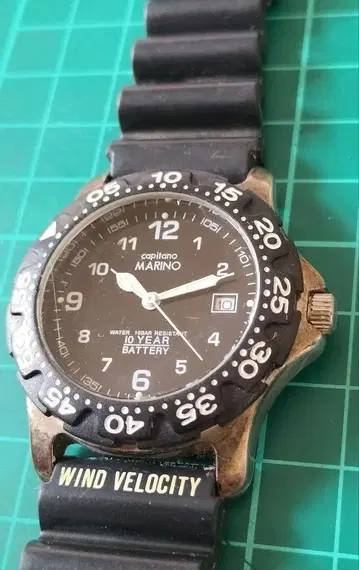 capilano MARINO 손목시계 10년 배터리