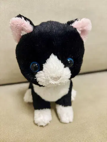 선 레몬 하치와레 화이트 블랙 고양이 봉제 인형 kitten
