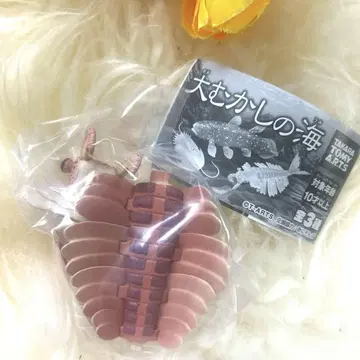 대망의 바다 아노마로카리스 가샤폰 가챠 새상품 피규어 고생물