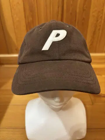 팔라스 스케이트보드 캔버스 P 6 패널 캡