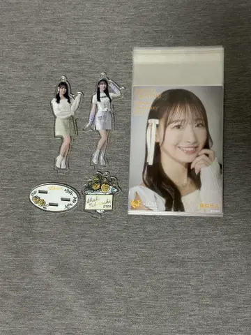 타키와키 쇼코 생탄 기념 세트 2024