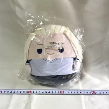 도쿄 리벤저스 후와코로린 M 사노 만지로 마이키