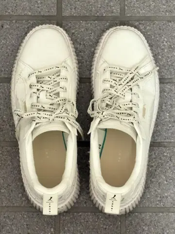 푸마 디나라 아메리 25cm