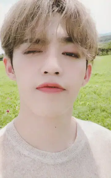 SEVENTEEN An Ode S.COUPS 트레이딩 카드 화이트