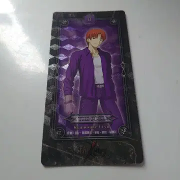 Fate/Zero 류노스케 타로 카드