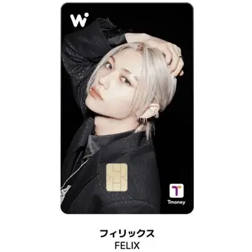 wowpass 필릭스 Stray kids 흠집 Felix