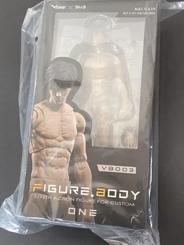 VTOYS FIGURE BODY VB003 1/12 소체
