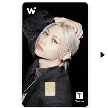 wowpass 와오패스 스키즈