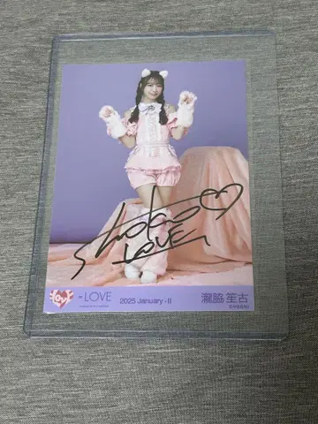 =LOVE 타키와키 쇼코 친필 사인 포함 브로마이드 고양이 의상