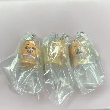 SKZOO 메지루시 액세서리 한 HAN QUOKKA 3개 세트
