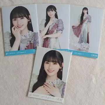 카와사키 사쿠라 브로마이드
