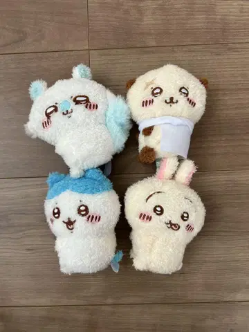 치이카와 (먼작귀) 피타레스토 토끼 하치와레 모몽가 랏코