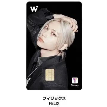 wowpass 필릭스 Stray kids 와오패스 스키즈 Felix